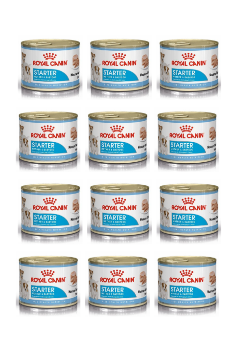 Royal Canin Starter Mother & Babydog Yavru Köpek Yaş Maması 195 Gr X 12 Adet