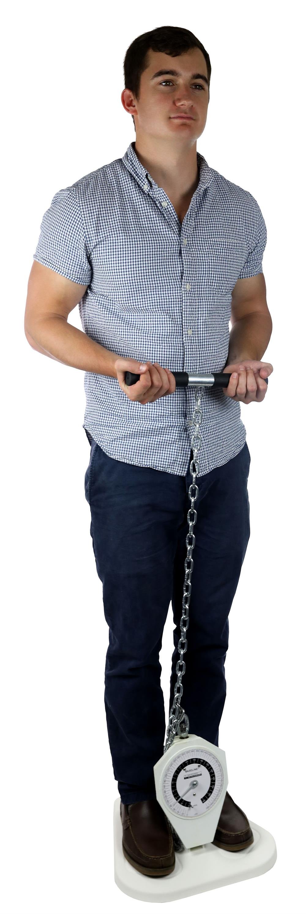 {baseline dinamometre}