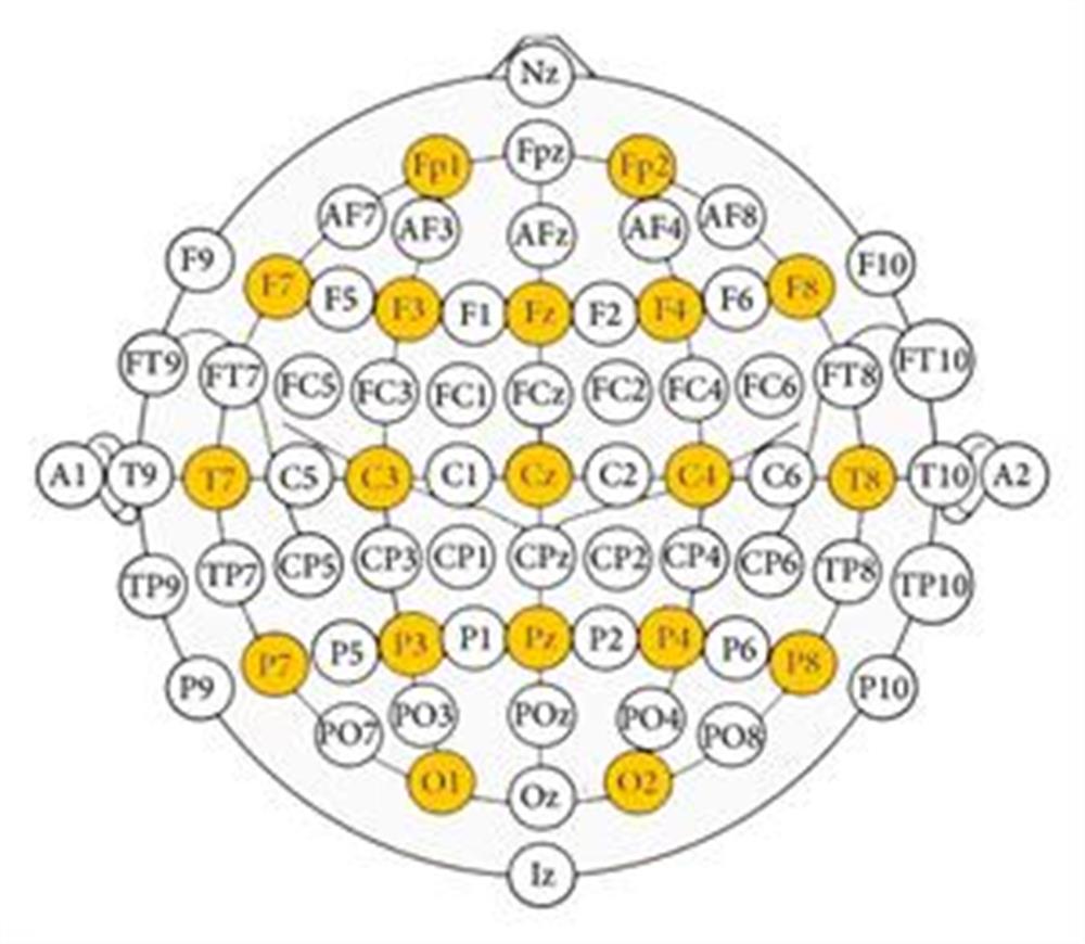 OpenBCI-ALL-IN-ONE EEG ELECTRODE CAP STARTER KIT-OpenBCIOpenBCIOpenBCI-1OpenBCI-ALL-IN-ONE EEG ELECTRODE CAP STARTER KIT