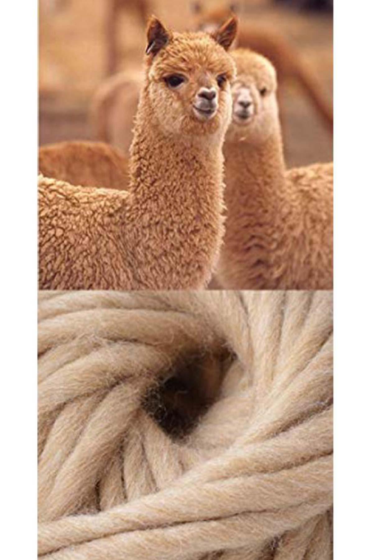 Aytuğ Men's Alpaca Hair Socket 2-pack Socks - 3098 G/A