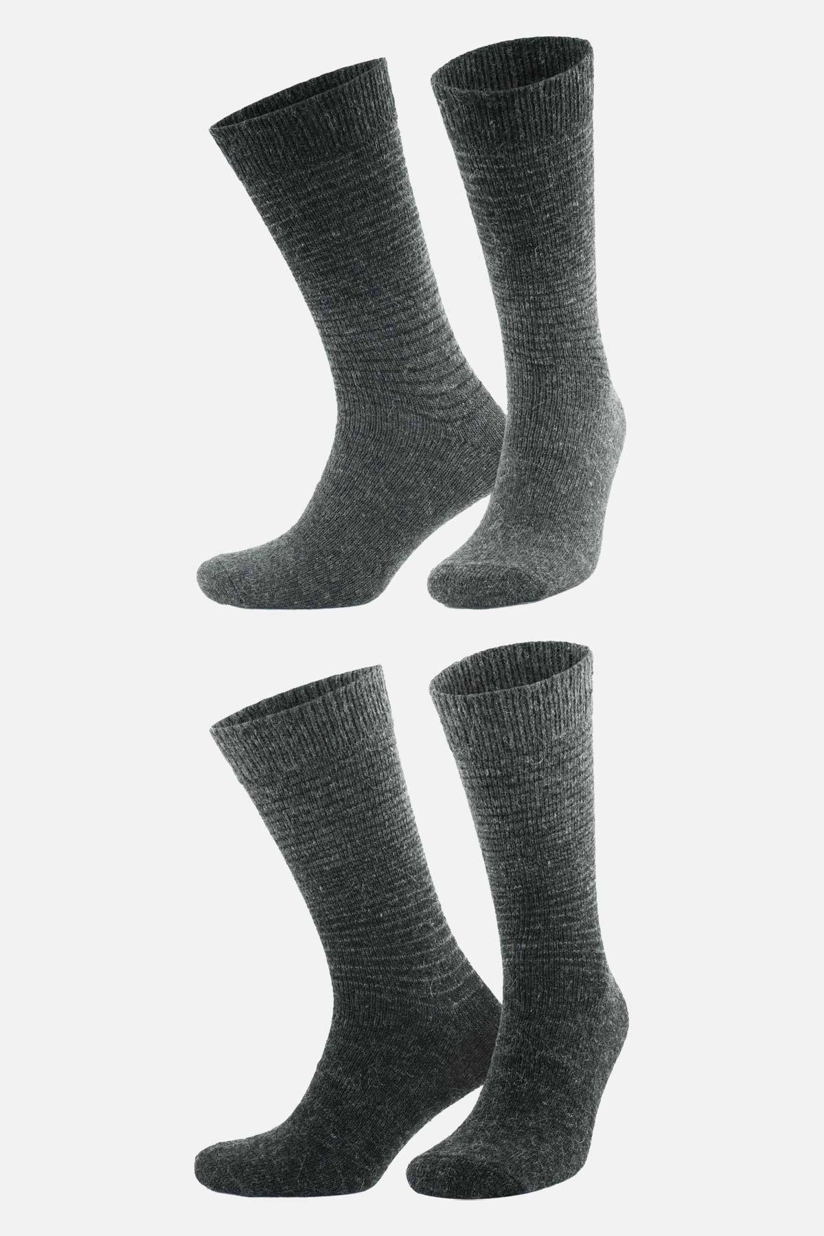 Aytuğ Men's Alpaca Hair Socket 2-pack Socks - 3098 G/A