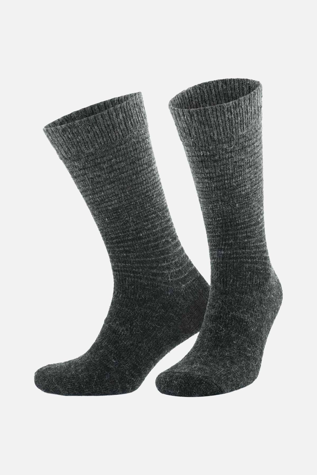 Aytuğ Men's Alpaca Hair Socket 2-pack Socks - 3098 G/A