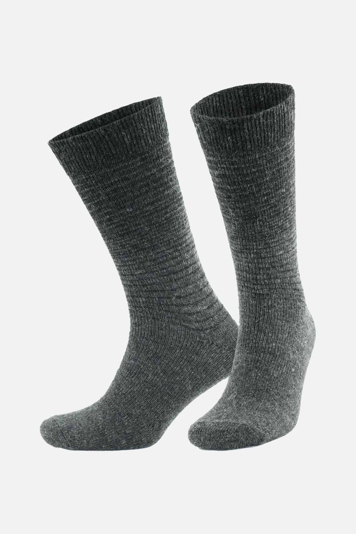 Aytuğ Men's Alpaca Hair Socket 2-pack Socks - 3098 G/A