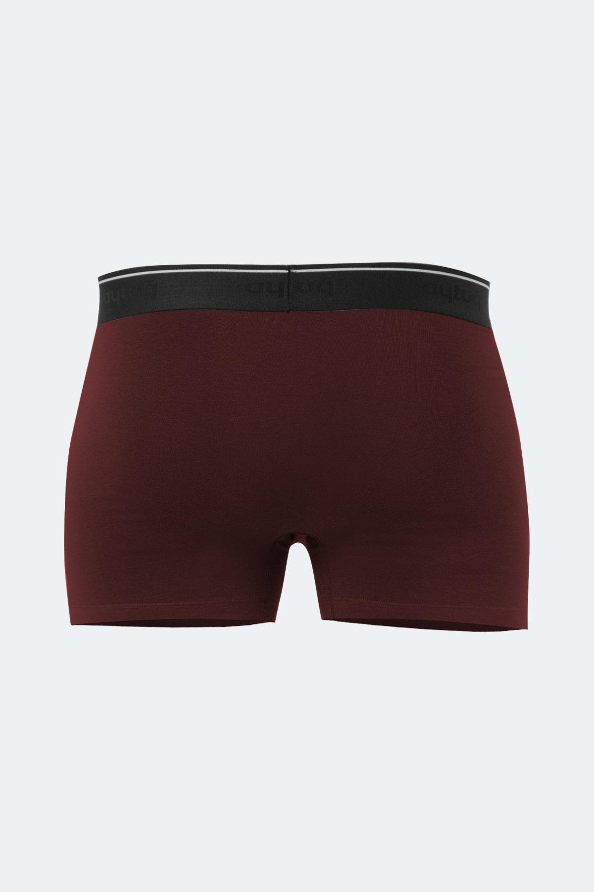 Aytuğ Erkek Modal 2'li Bordo Füme Renk Boxer