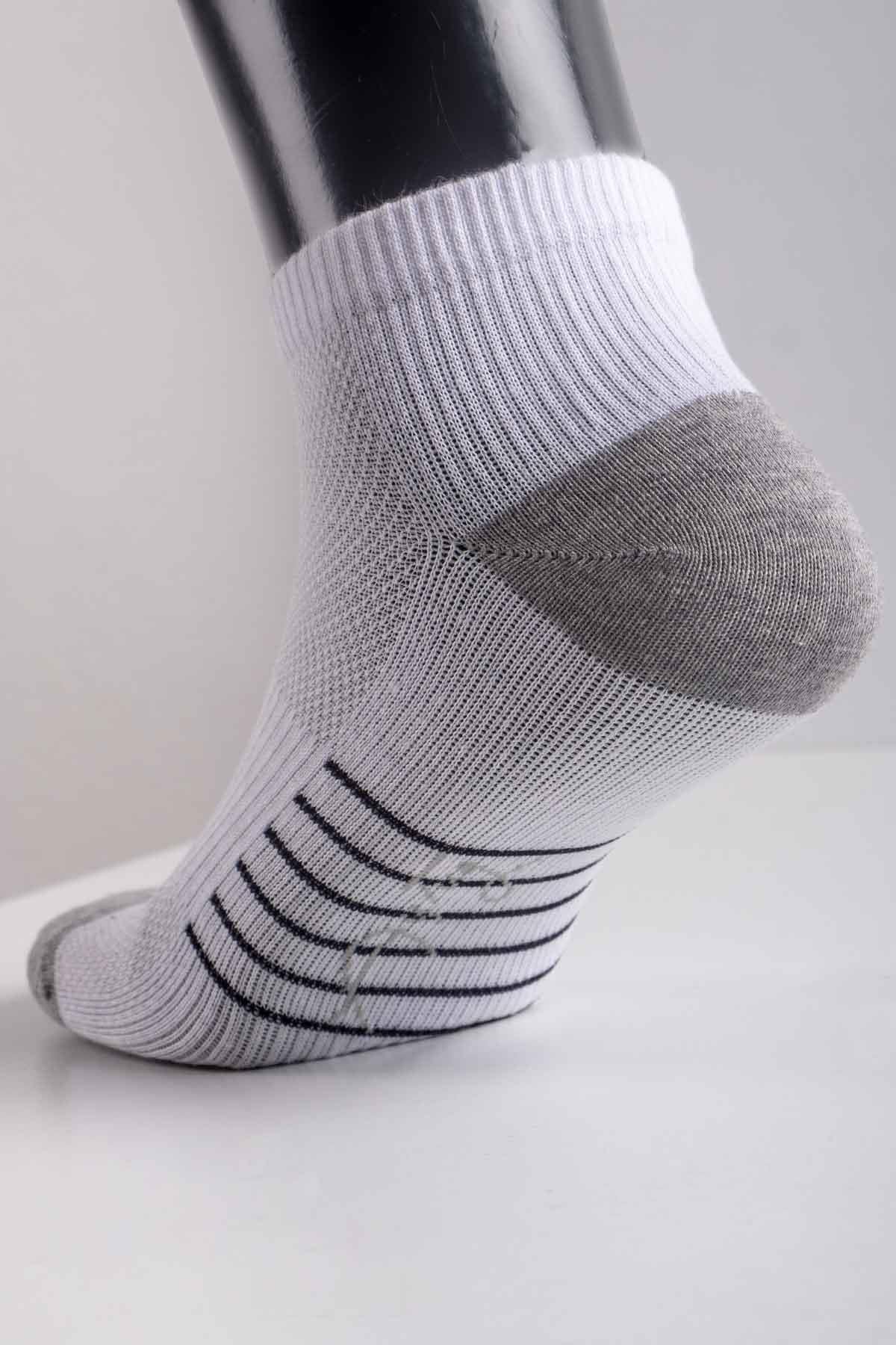 Aytuğ Men's Cotton 5 Pairs Special Boxed Booties Socks - 55409