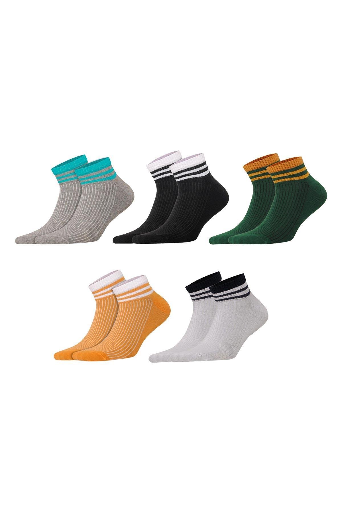 Aytuğ Men's Cotton 5 Pairs Special Boxed Booties Socks - 11241