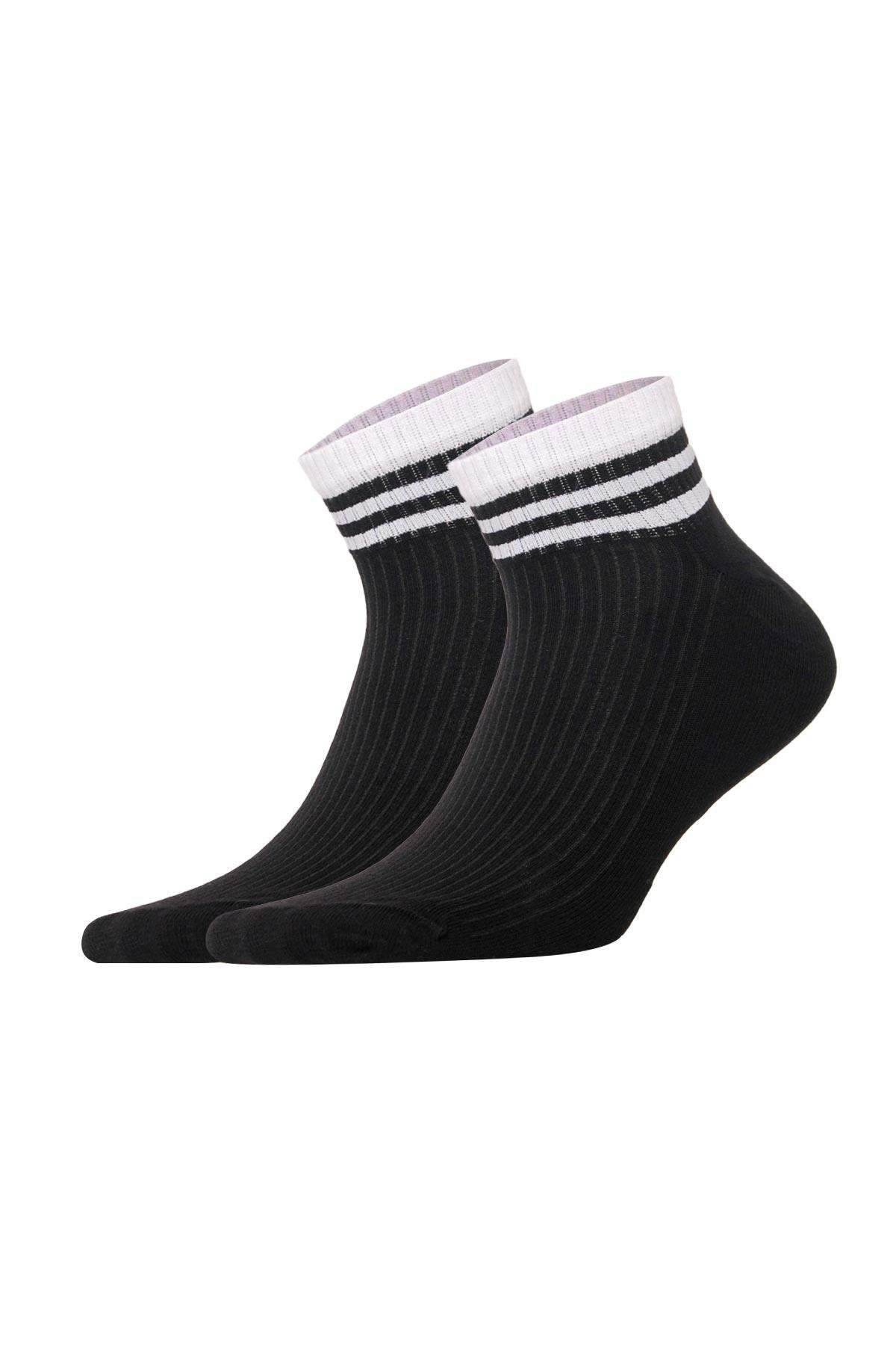Aytuğ Men's Cotton 5 Pairs Special Boxed Booties Socks - 11241