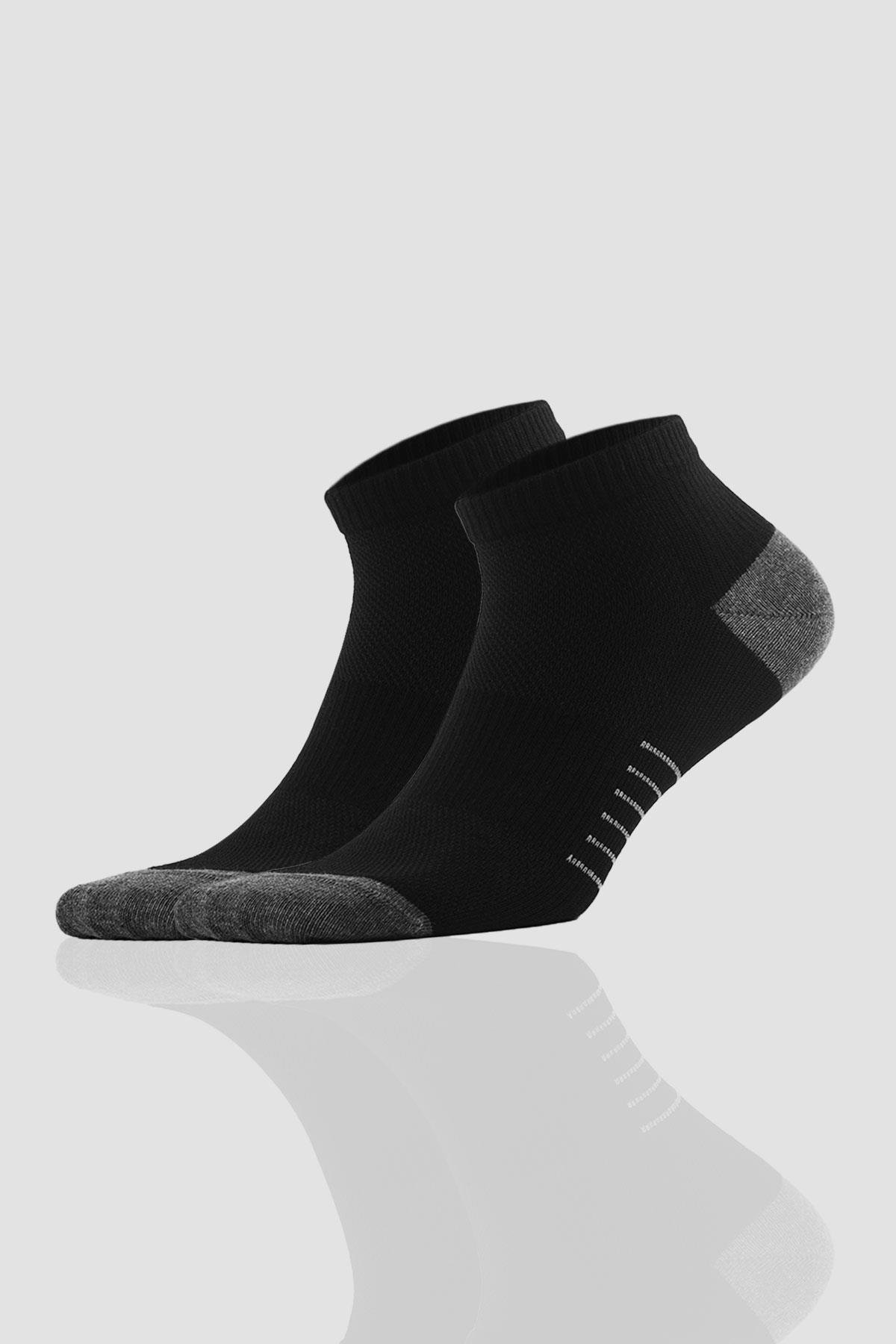 Aytuğ Men's Cotton 5 Pairs Special Boxed Booties Socks - 55409