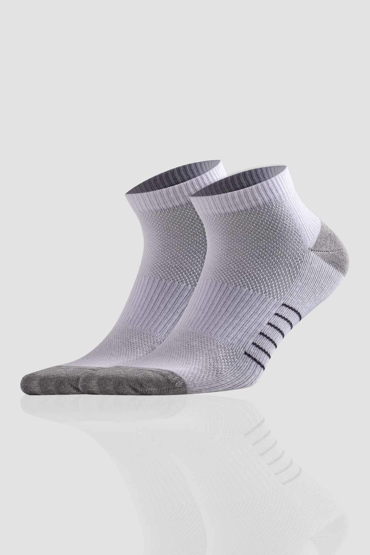 Aytuğ Men's Cotton 5 Pairs Special Boxed Booties Socks - 55409