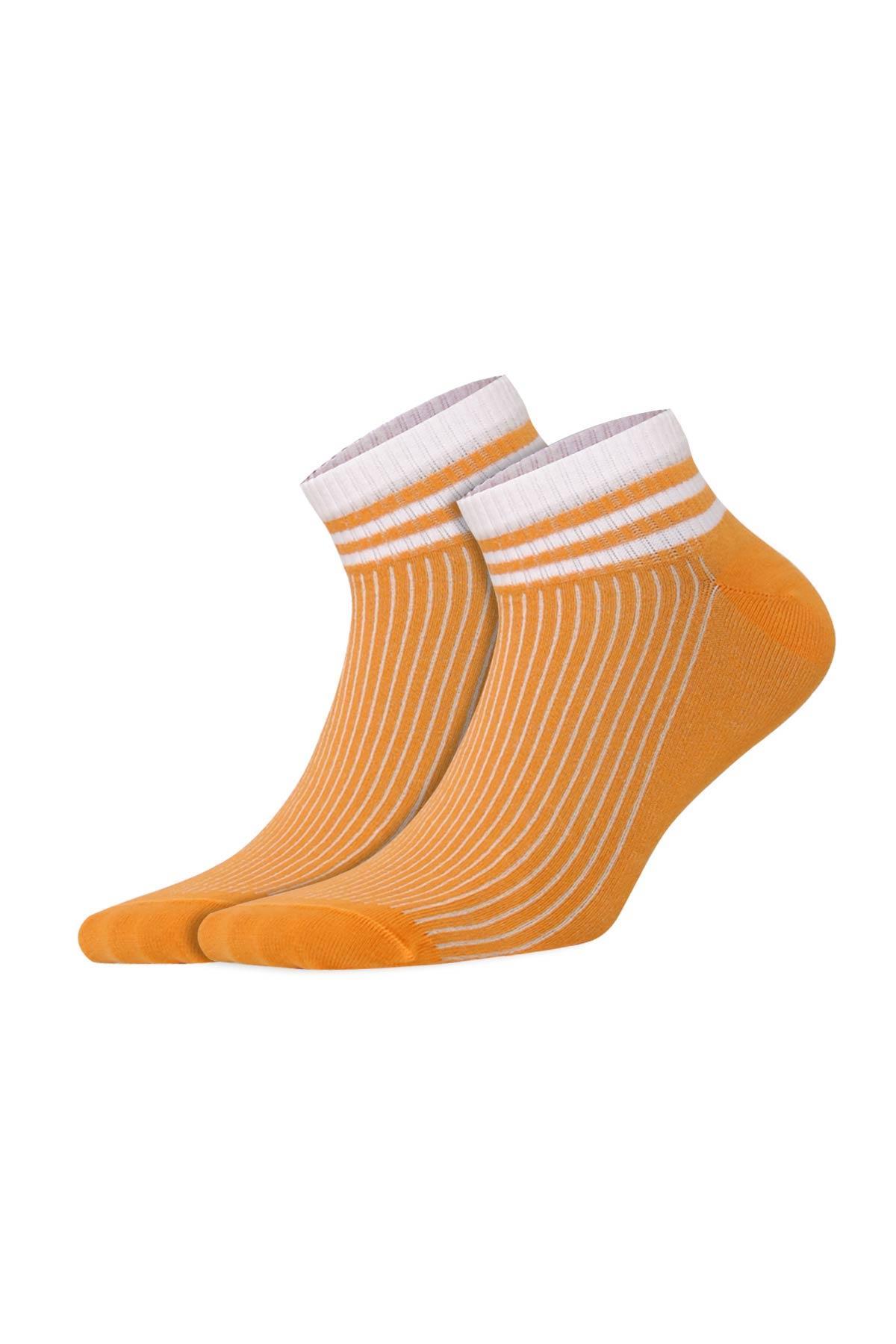 Aytuğ Men's Cotton 5 Pairs Special Boxed Booties Socks - 11241