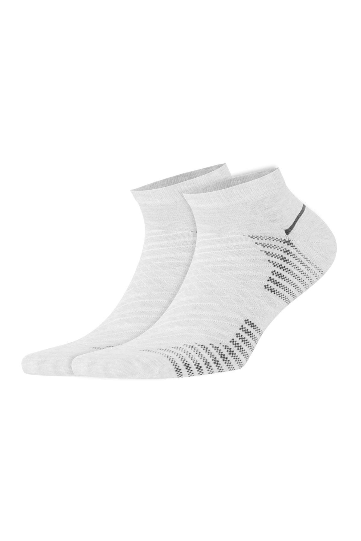 Aytuğ Men's Cotton 8 Pairs Special Boxed Booties Socks - 11250-2