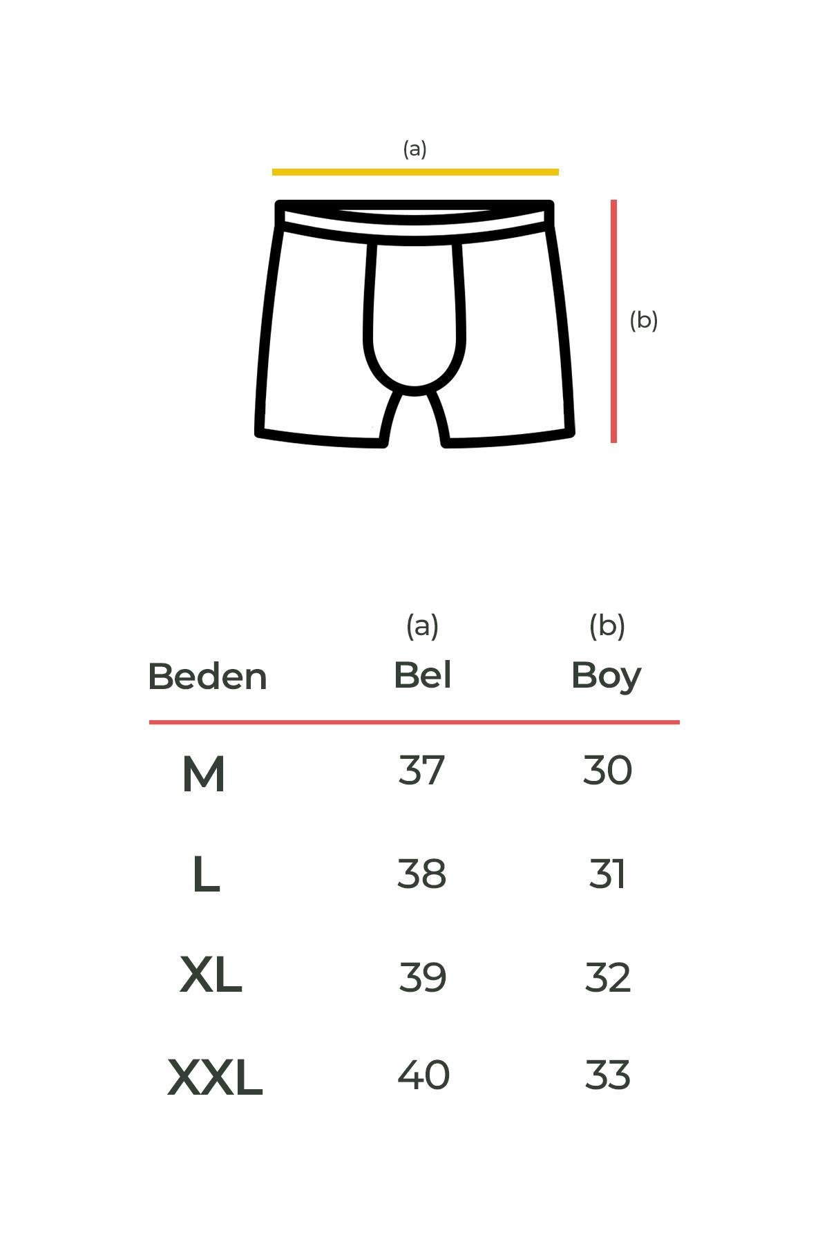 Aytuğ Men's Cotton Plain Navy Blue and Patterned 2-pack Boxer - ZMB-3