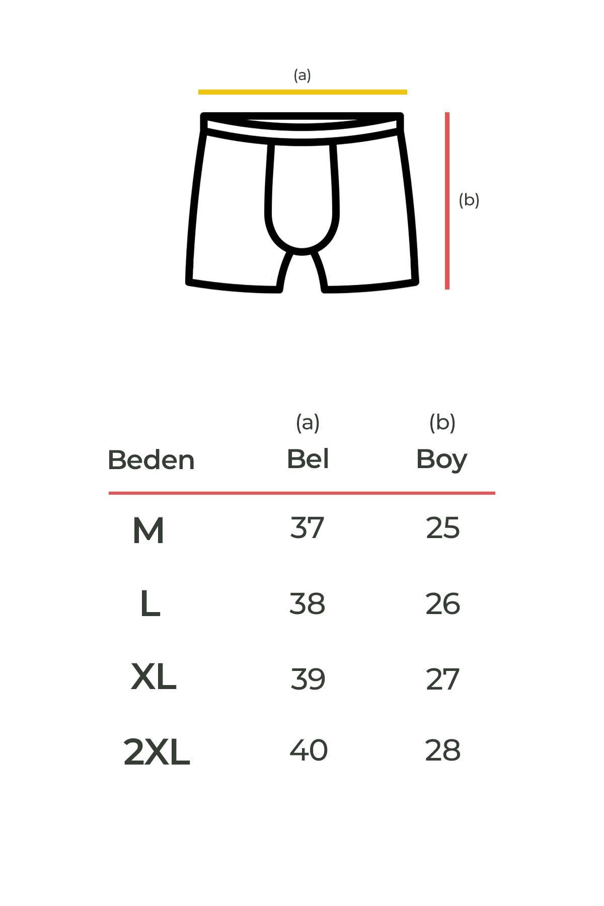 Aytuğ Erkek Pamuklu Siyah 2'li Boxer A BXR S