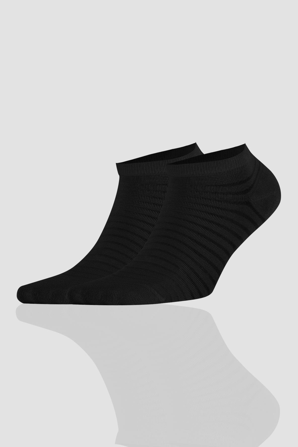 Aytuğ Women's Bamboo 5 Pairs Special Boxed Booties Socks - 34252
