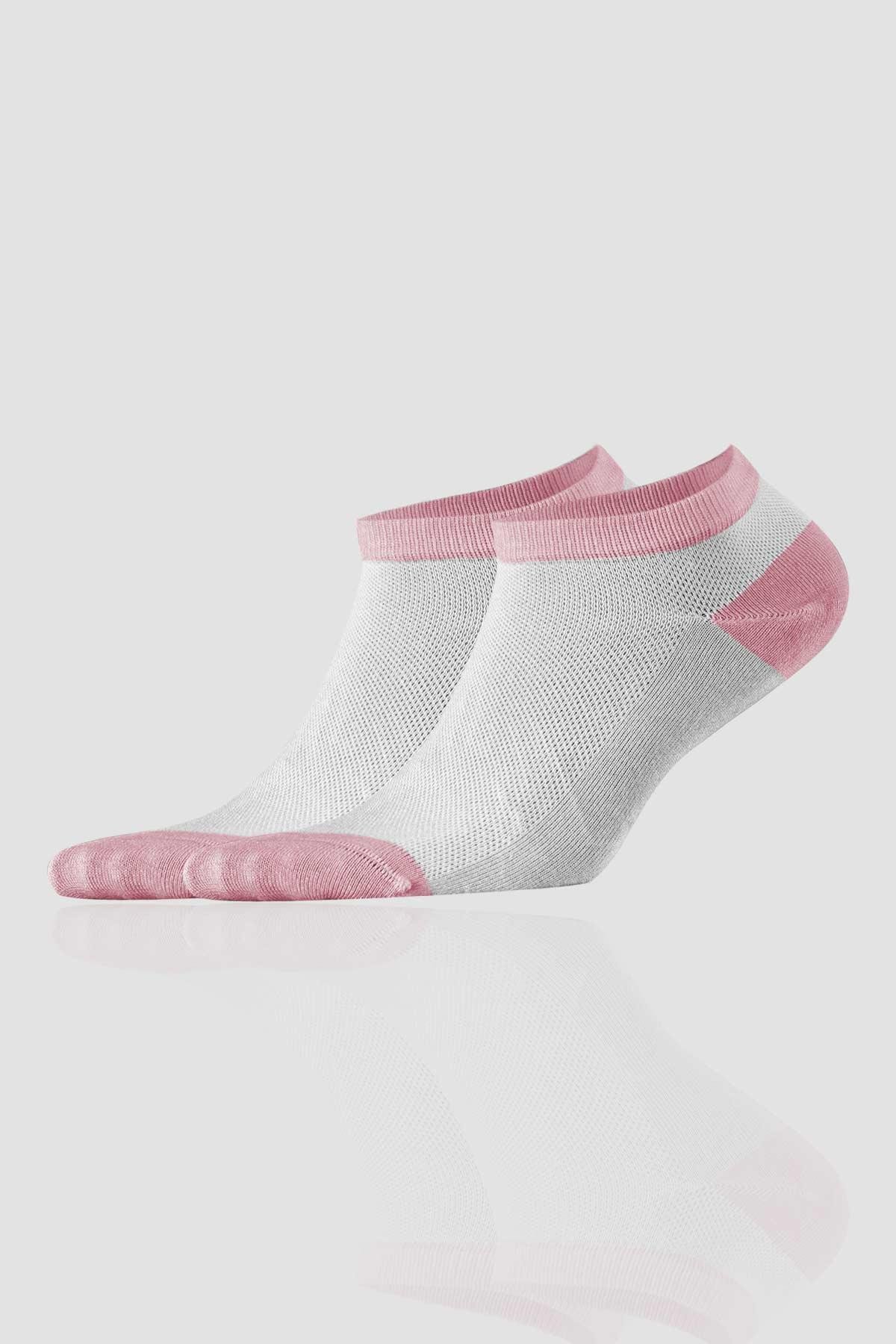 Aytuğ Women's Bamboo 8 Pairs Special Boxed Booties Socks - 34260-1