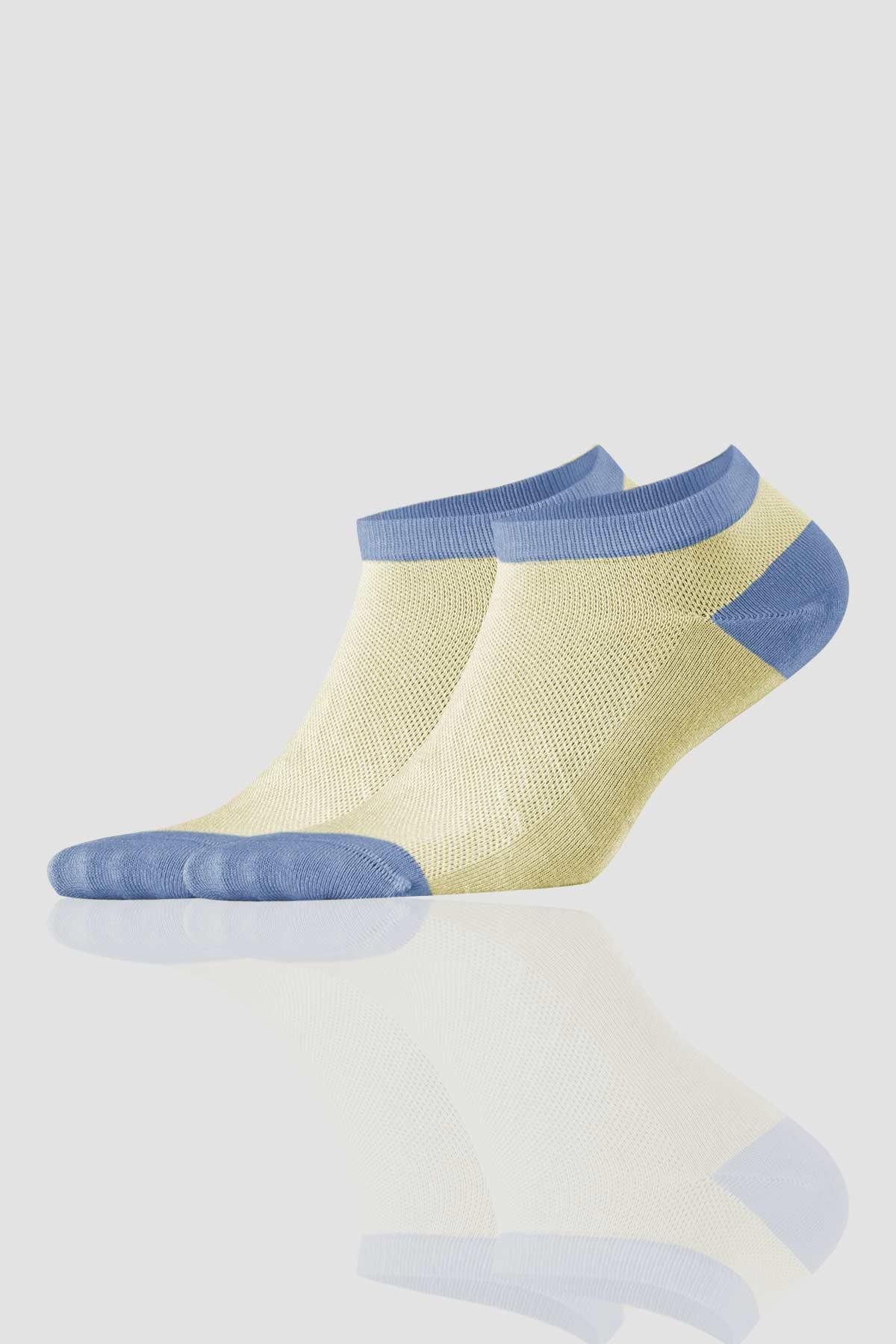Aytuğ Women's Bamboo 8 Pairs Special Boxed Booties Socks - 34260-1