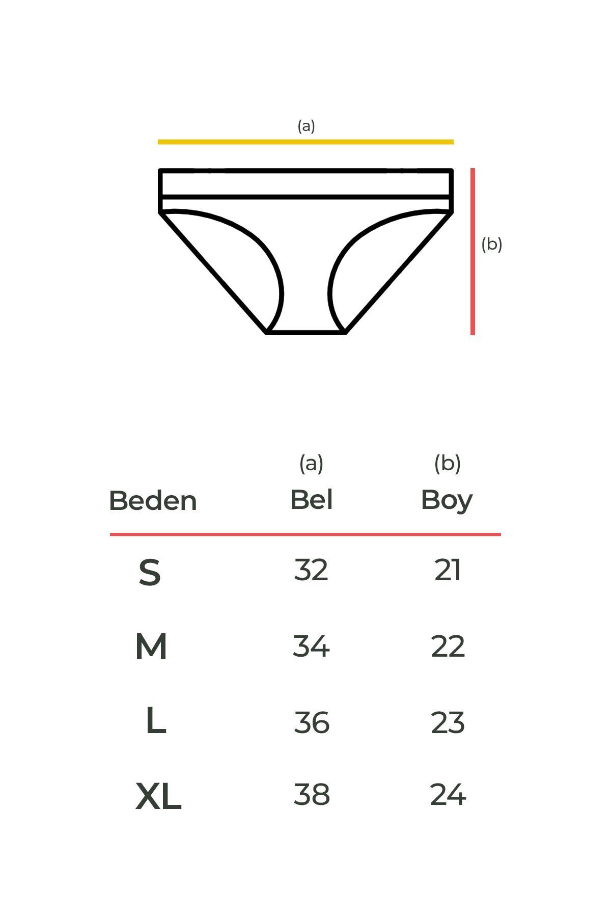 Aytuğ Kadın Modal İnce Kenar 3'lü Slip Külot Karışık Renkli