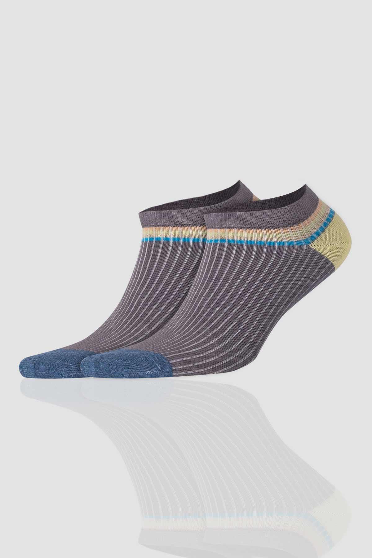 Aytuğ Women 5 Pairs of Cotton Booties Socks With Special Box - 31253