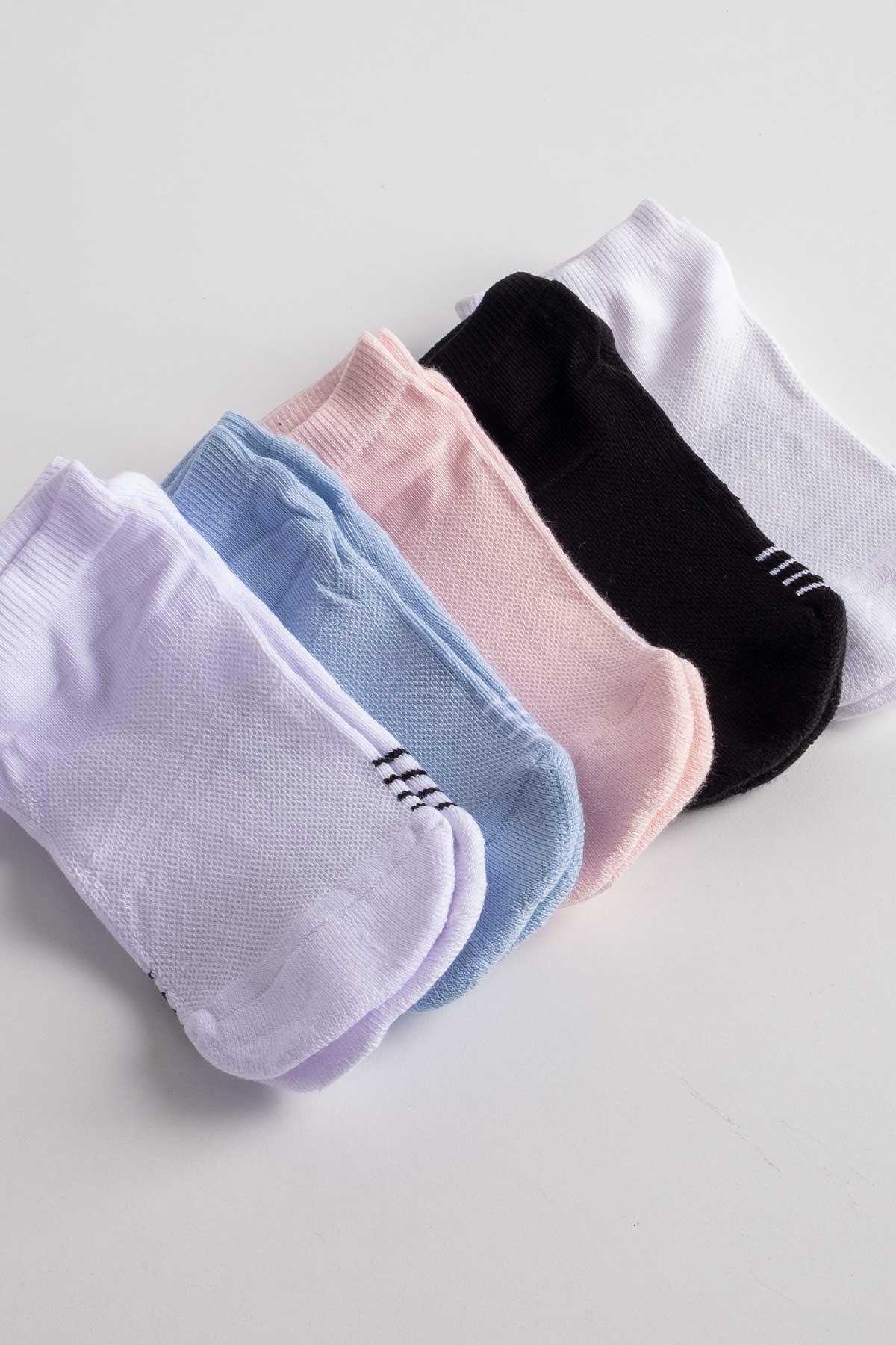 Aytuğ Women's Cotton 5 Pairs Special Boxed Booties Socks 55214
