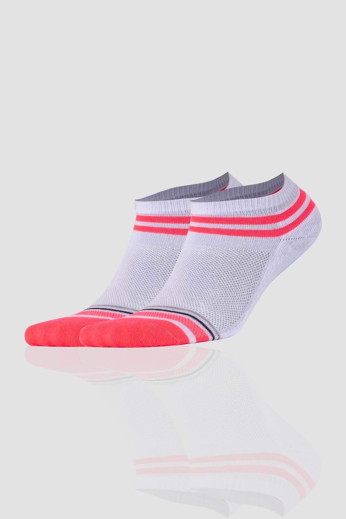 Aytuğ Women's Cotton 5 Pairs Special Boxed Booties Socks - 55213