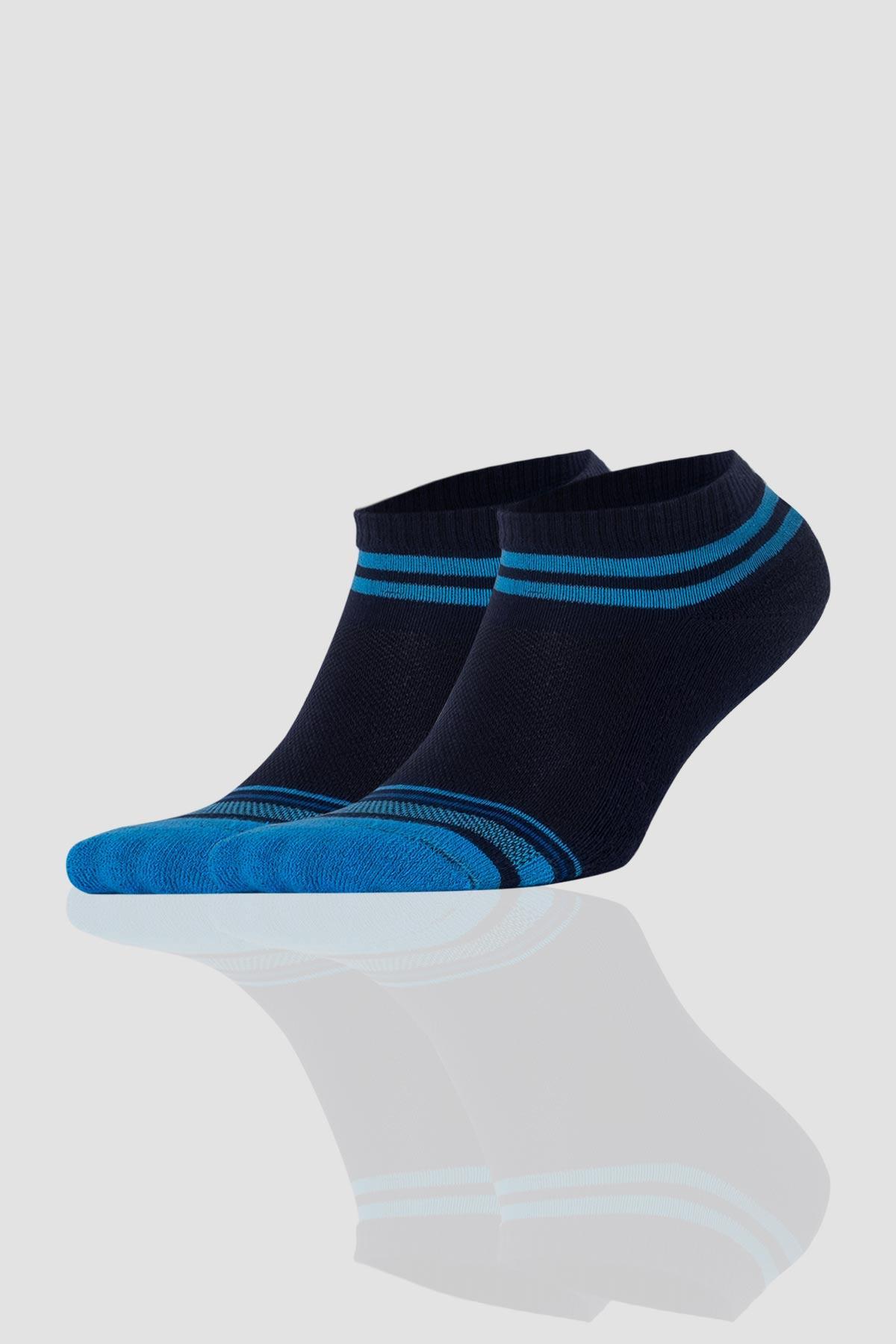 Aytuğ Women's Cotton 5 Pairs Special Boxed Booties Socks - 55213