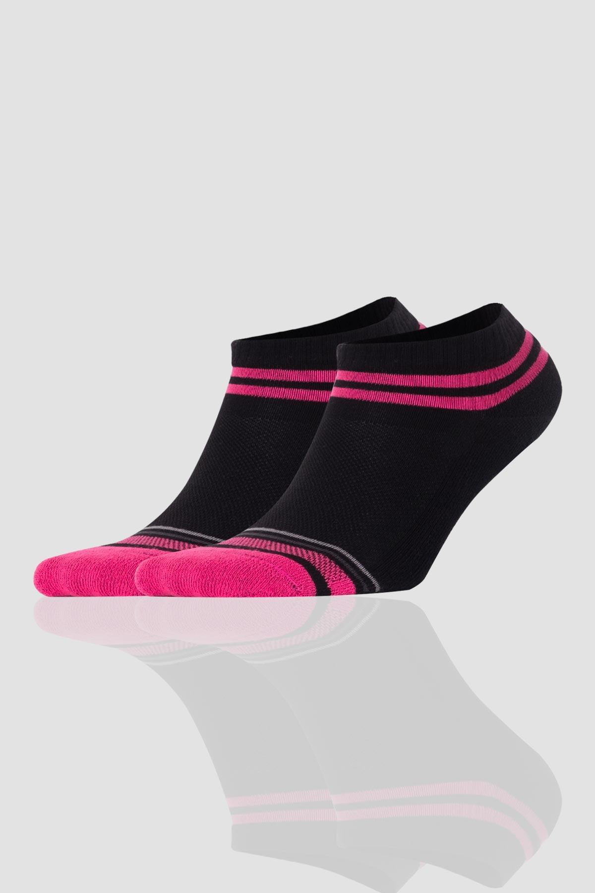 Aytuğ Women's Cotton 5 Pairs Special Boxed Booties Socks - 55213