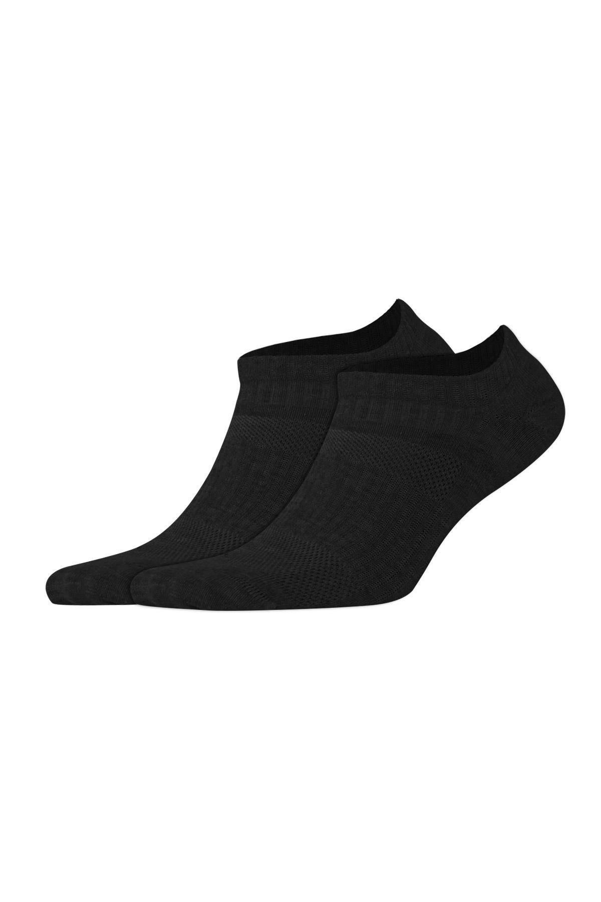 Aytuğ Women's Cotton 5 Pairs Sports Booties Socks With Special Box 55200-1