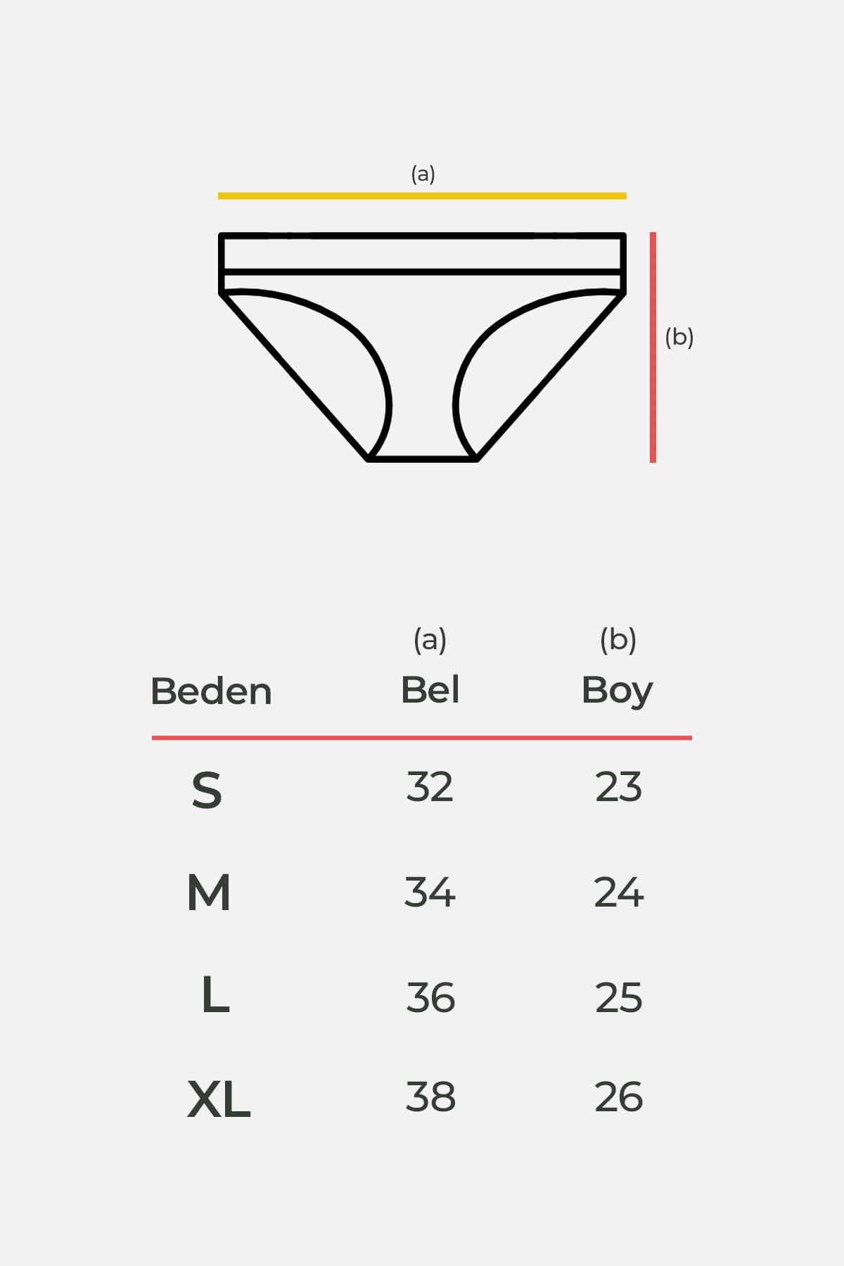 Aytuğ Women's Cotton Low Waist Panties - Single