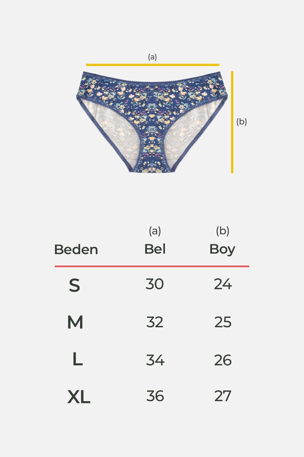 Aytuğ Kadın Pamuklu Orta Kalın 3 Renk Slip Külot 3'lü Paket-NWK4