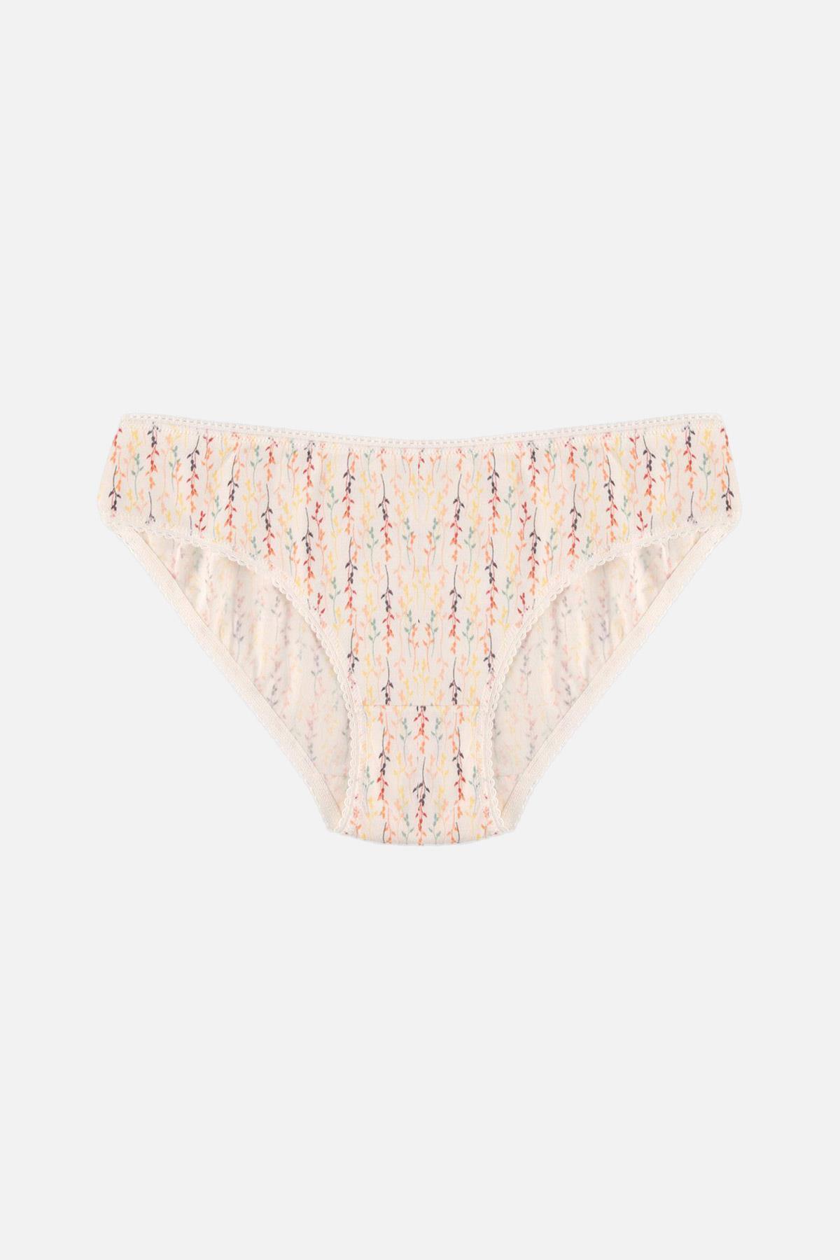 Aytuğ Kadın Pamuklu Orta Kalın 3'lü Çok Renkli Slip Külot - Desen 4