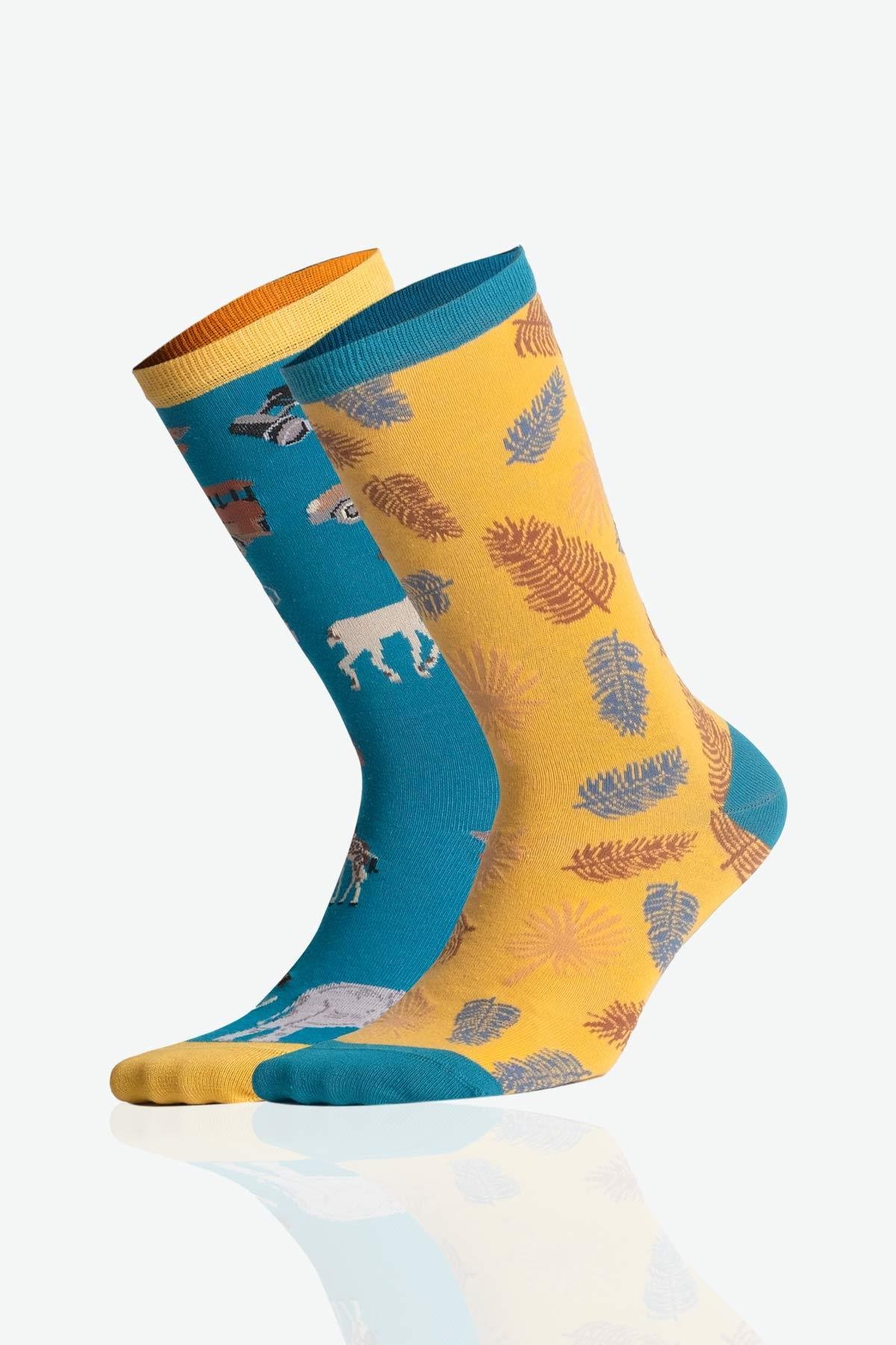 Aytuğ Unisex Cotton Colored Animal Patterned Special Boxed 3 Pairs Socks