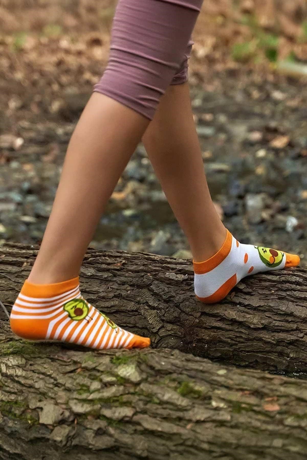 Aytuğ Unisex Pamuklu Özel Kutulu Eğlenceli Patik Çorap 6 Çift Çok Renkli