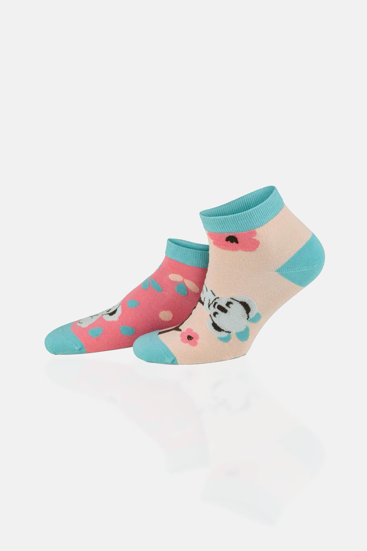 Aytuğ Unisex Premium Cotton 6 Pairs Special Boxed Colored Booties Socks