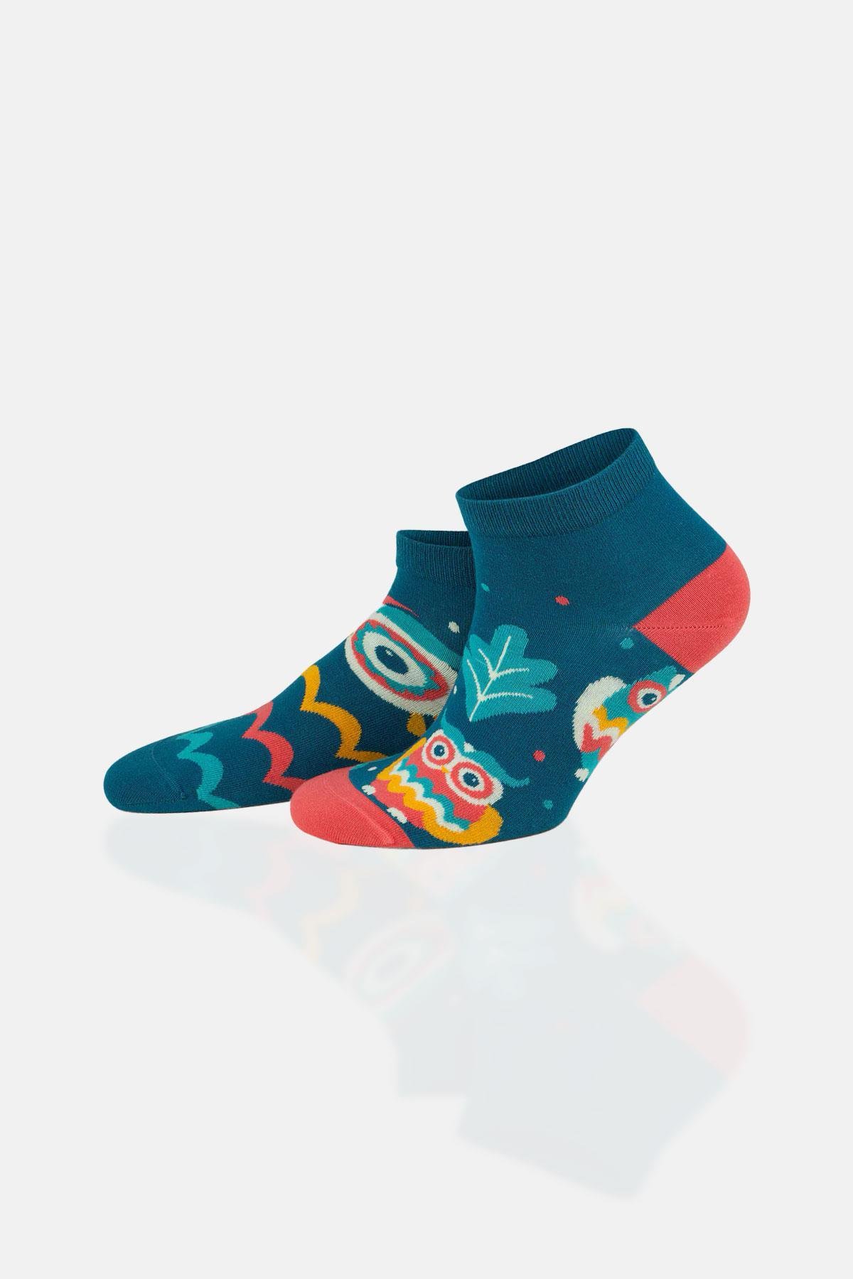 Aytuğ Unisex Premium Cotton 6 Pairs Special Boxed Colored Booties Socks