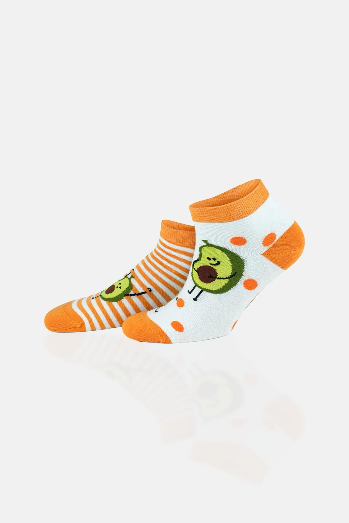 Aytuğ Unisex Premium Cotton 6 Pairs Special Boxed Colored Booties Socks