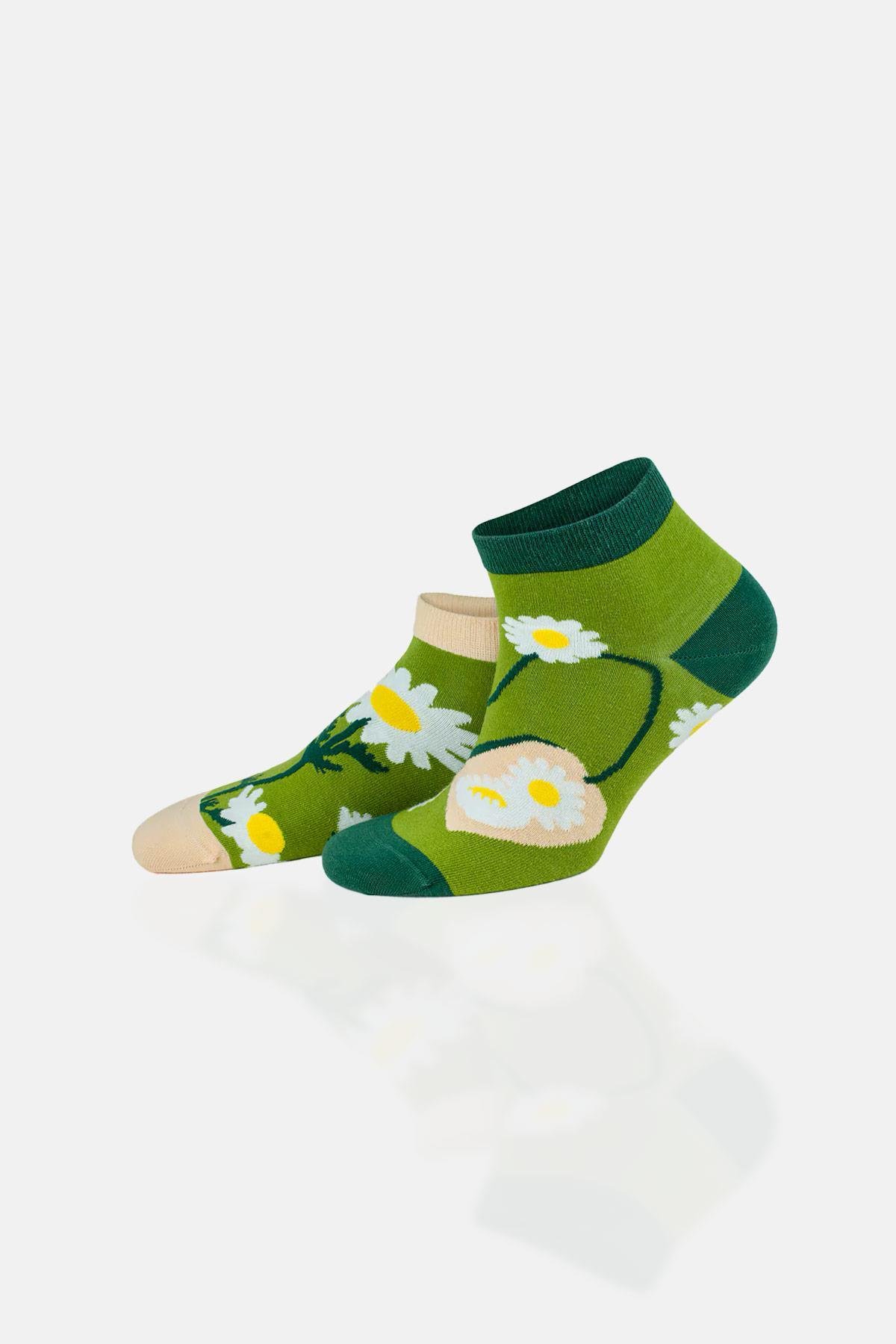 Aytuğ Unisex Premium Cotton 6 Pairs Special Boxed Colored Booties Socks