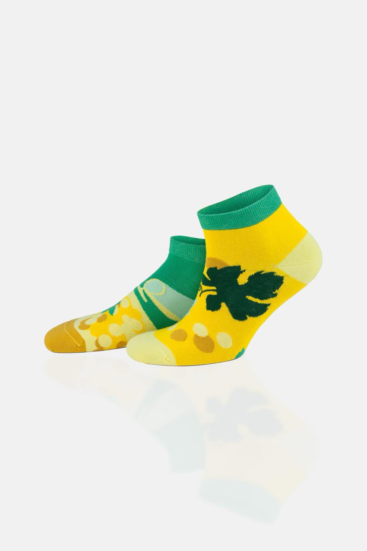 Aytuğ Unisex Premium Cotton 6 Pairs Special Boxed Colored Booties Socks
