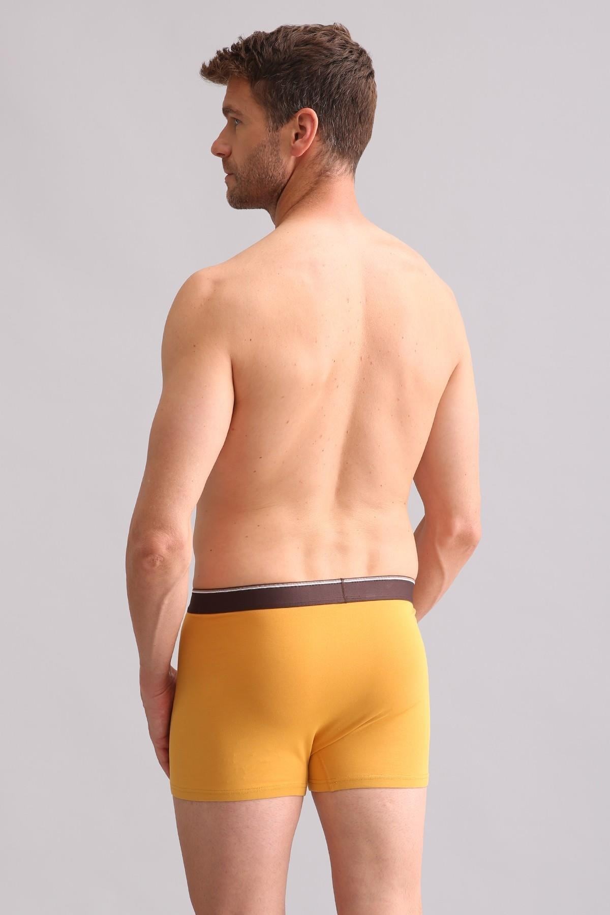 Mısırlı BAMBU SPARTACUS PERFORMANCE Boxer Hardal