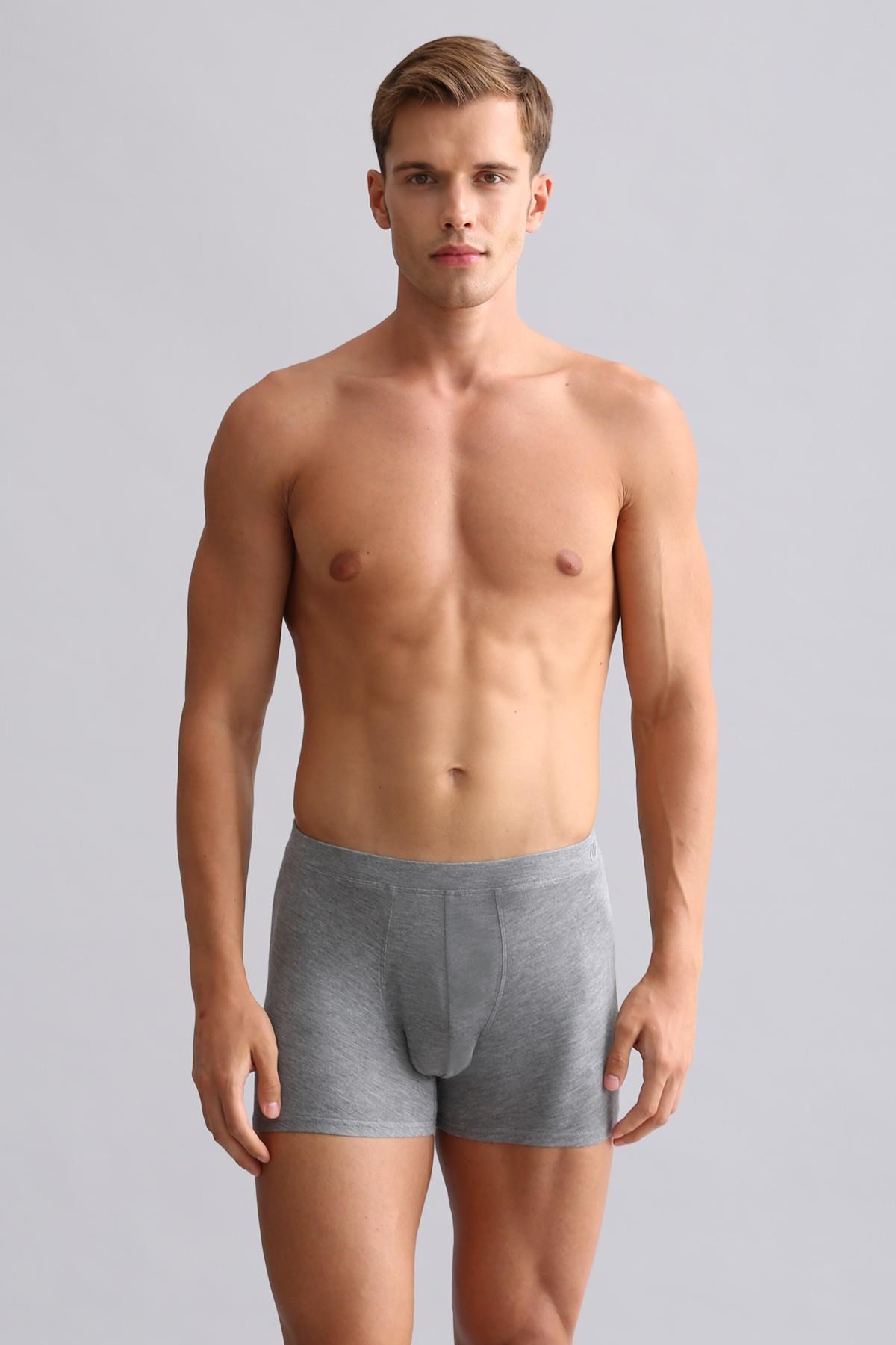 Mısırlı BAMBU ZEUS Regular Fit Boxer Gri Melanj