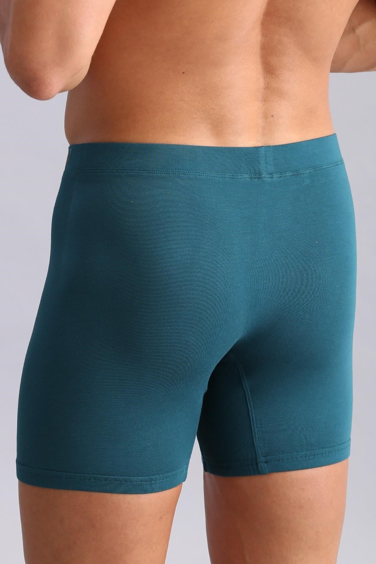 Mısırlı BAMBU ZEUS Regular Fit Long Boxer Fit Green