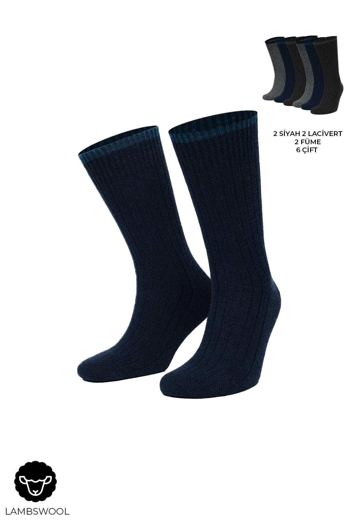 Mısırlı Erkek Kuzu Yünü (Lambswool) 6 Çift Kutulu Soket Çorap Çok Renkli