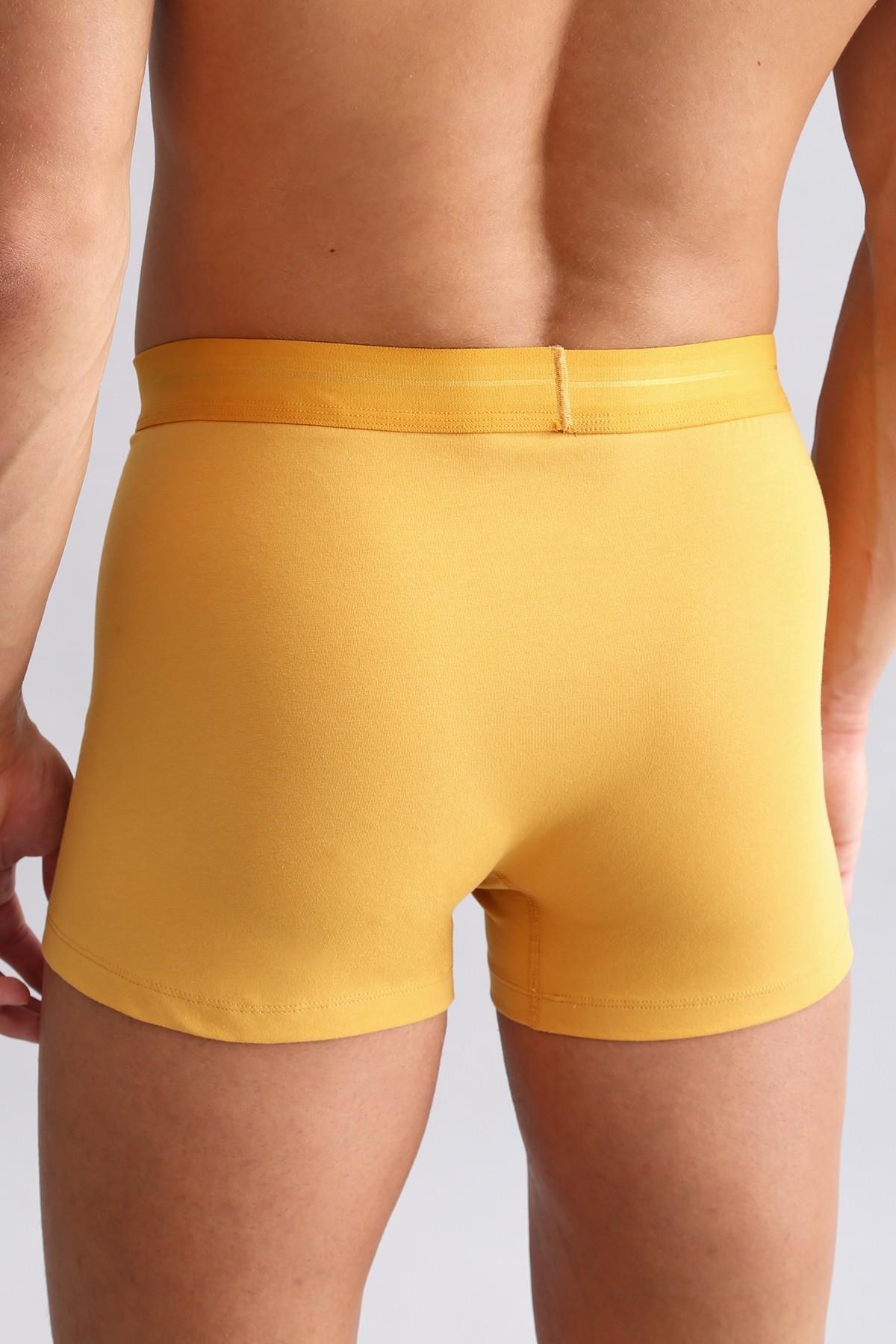 Mısırlı Modal by TENCEL SPARTACUS PLUS PERFORMANCE Boxer Hardal