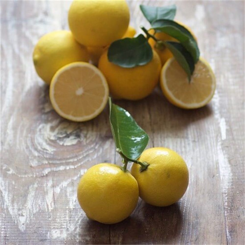 TATLI LİMON -1KG