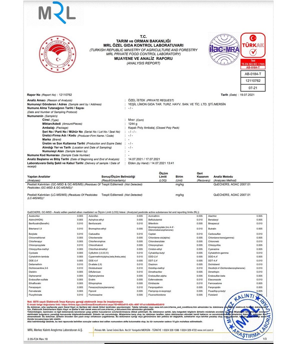 YERLİ MISIR- 3 ADET