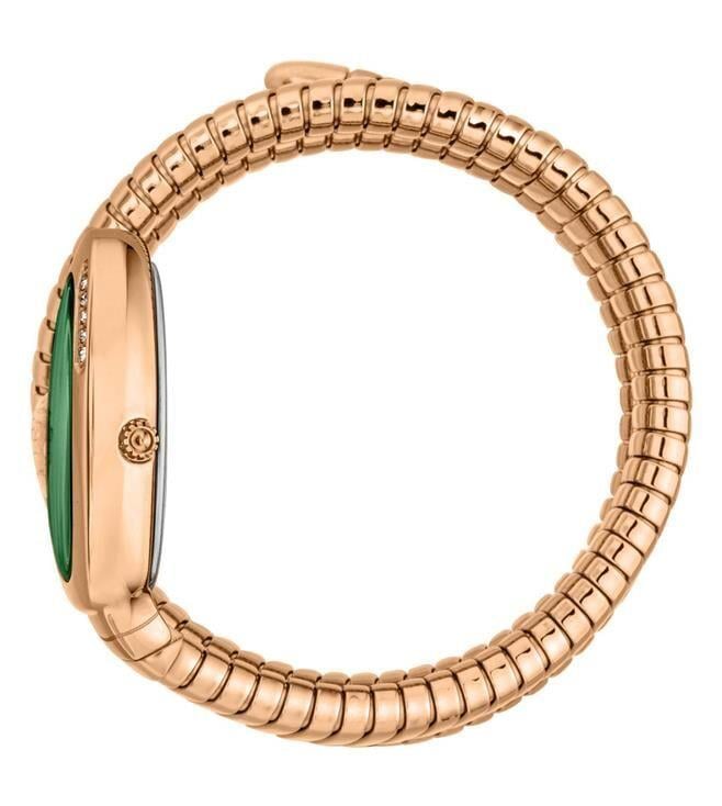 Just Cavalli JC1L230M0055 Kadın Kol Saati