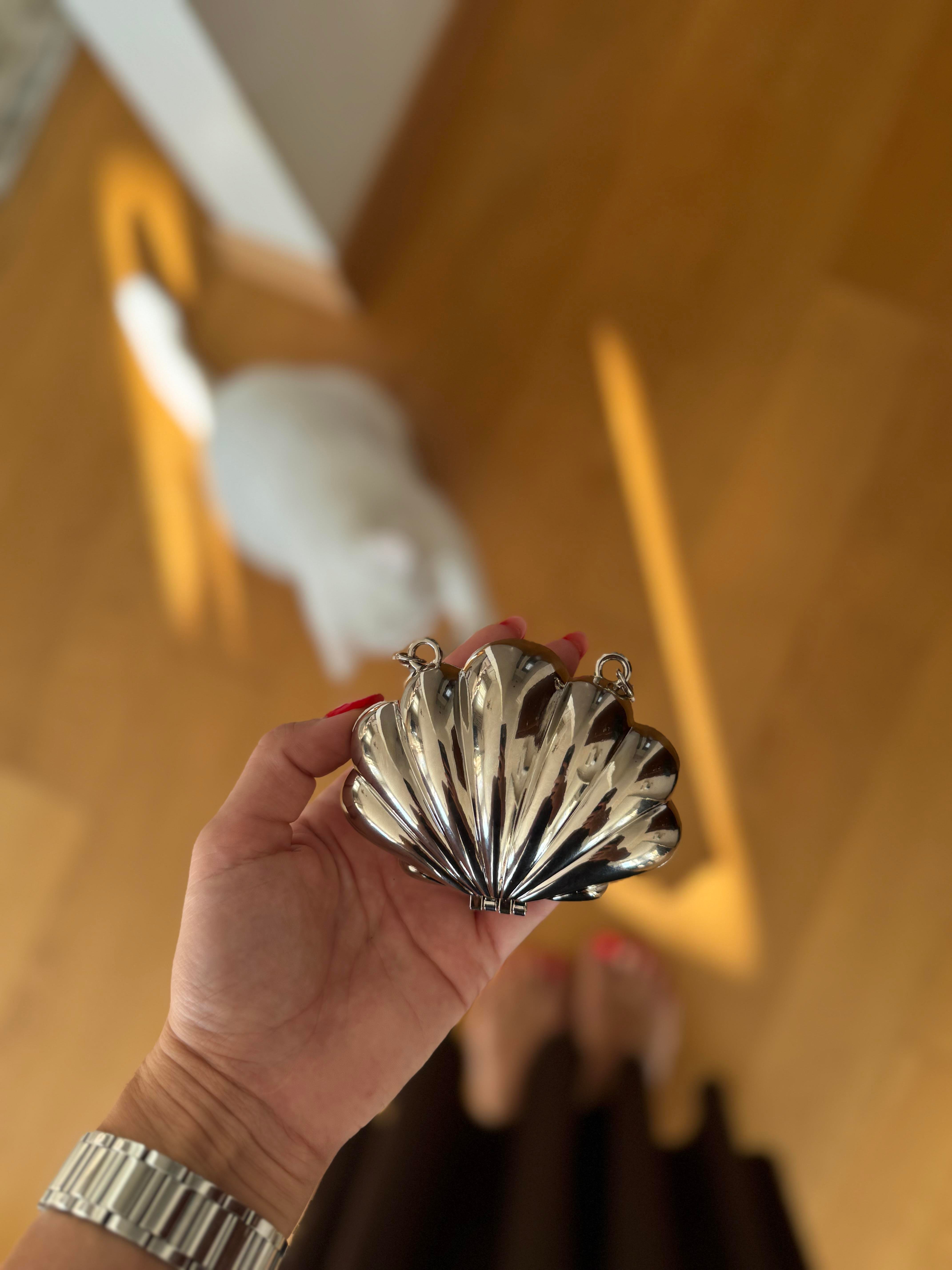 Mini İstiridye Çanta Silver