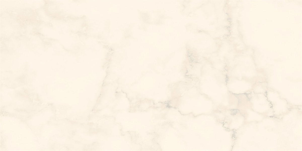 Rino Fogy White 60x120 cm Full Lappato