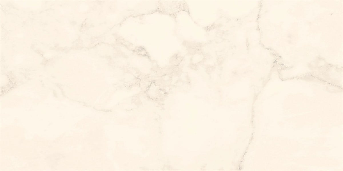 Rino Fogy White 60x120 cm Full Lappato