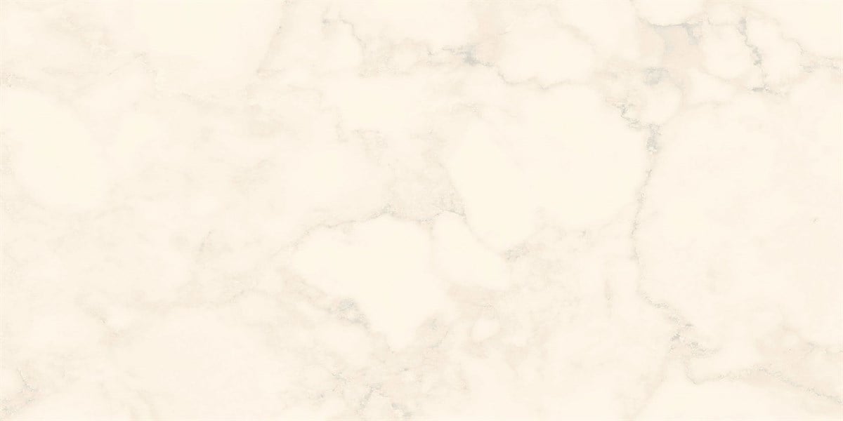 Rino Fogy White 60x120 cm Full Lappato