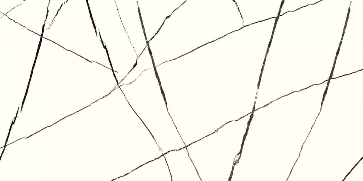 Rino Nero White 60x120 cm Full Lappato